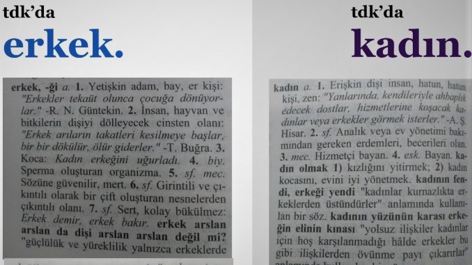 tdk da kadın 1